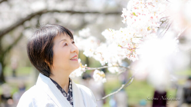 桜の花と着物の女性