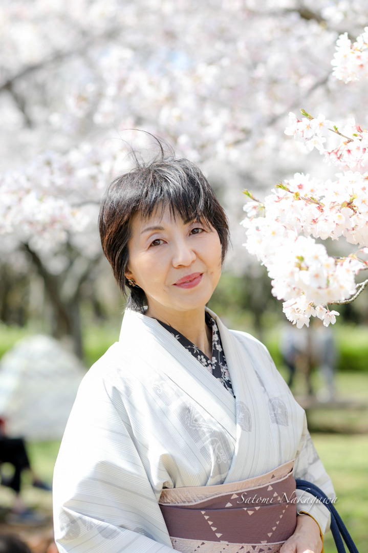 桜の木と着物姿の女性