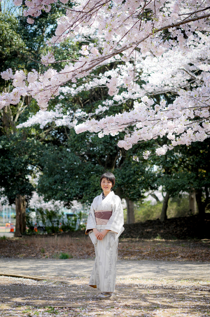 桜の木と着物姿の女性