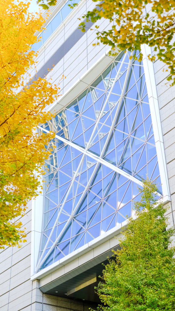 ビルの窓とイチョウの黄色い葉