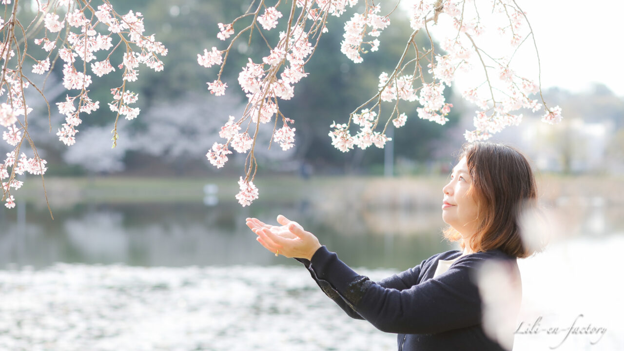 桜と女性の横顔